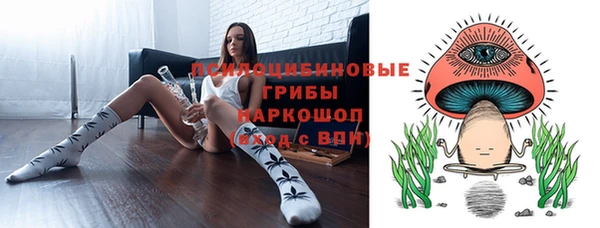 ешки Иннополис
