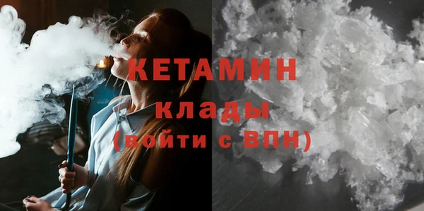 крисы Инта