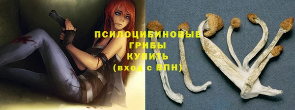 крисы Инта