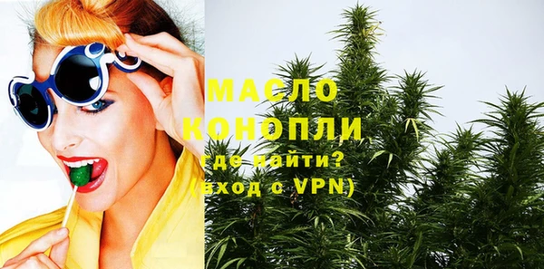 крисы Инта