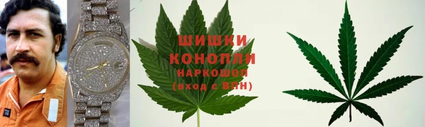 ешки Иннополис
