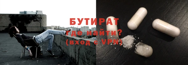 крисы Инта