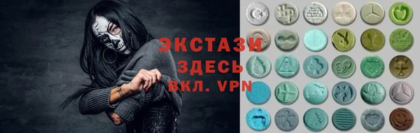 крисы Инта