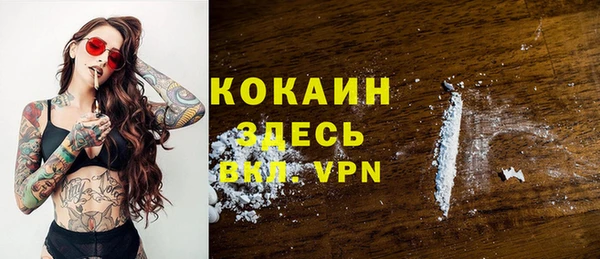 крисы Инта