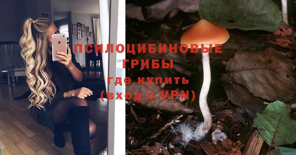 крисы Инта