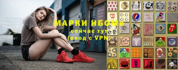 крисы Инта