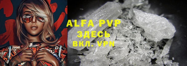крисы Инта