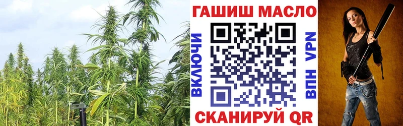 ТГК гашишное масло  Купить закладки  Яровое 